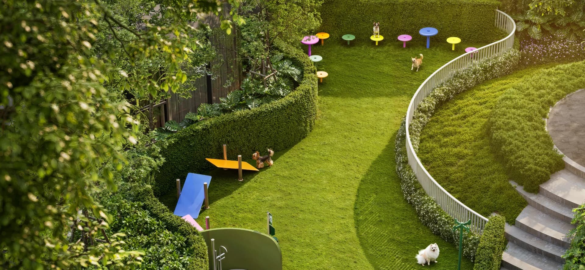 The fenced pet park in the garden with agility ramps and play posts